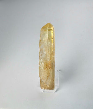 Himalayan Citrine Quartz point 3A