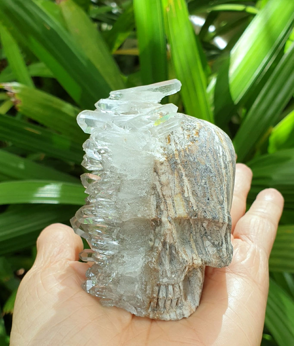 "Rockstar" Lemurian Crystal Quartz Matrix Skull (Water clear quartz cluster) RCK-17