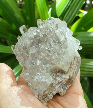 "Rockstar" Lemurian Crystal Quartz Matrix Skull (Water clear quartz cluster) RCK-17